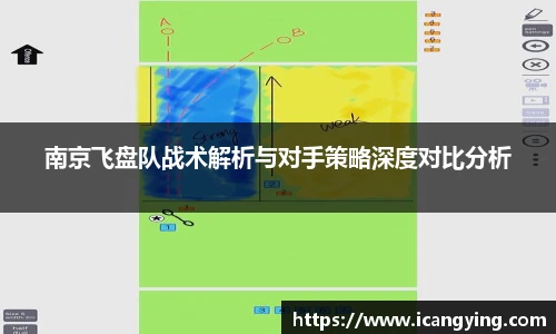 南京飞盘队战术解析与对手策略深度对比分析